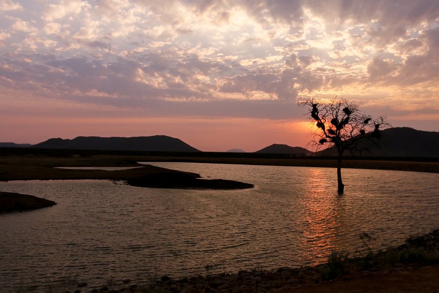 PRGameBreeding's tweet image. Magnificent sunsets over the @madikweconservancy .... 🙏🏼💙 

#PurpleRainGameBreeding
#PurpleRainGameBreedingInformation
#PurpleRainGameBreedingSouthAfrica
#GameBreedersSouthAfrica
#GameBreedersLimpopo
#MadikweConservancy
#Sunset
#FloraAndFauna 
#Africa
#Wanderlust