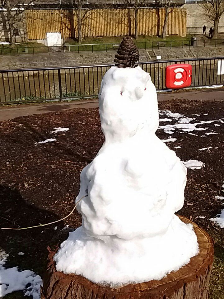 bathnes's tweet image. Found this snowman in Parade Gardens today, @BathnesParks. He seems to be wearing a fir hat. Maybe that's why he's thawing out.❄❄❄
Sorry...
More cold weather updates here: goo.gl/DNV62p