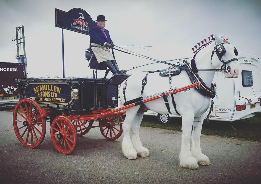 WSShires's tweet image. What a weekend at The National Shire Horse Show #wsshires #McMullens1827 #shires #greyshires #teamsheen #stafford