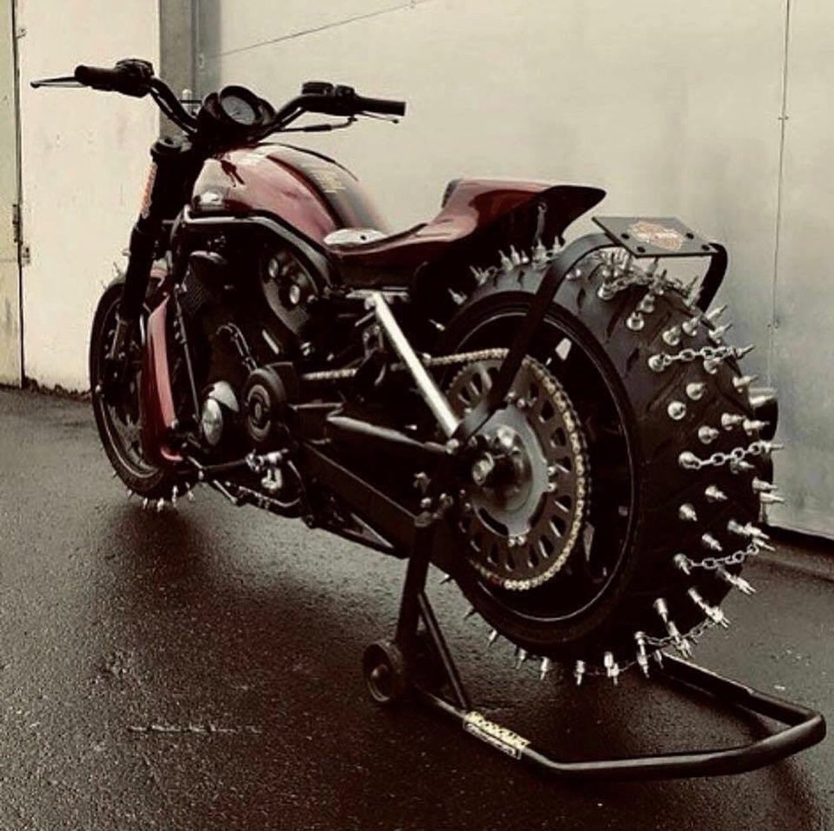 Harley Heaven Bächli tweet media