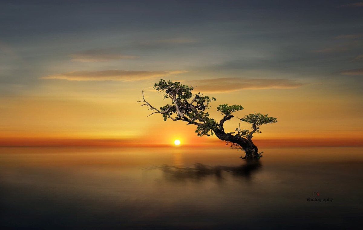 In solitude there is healing.
Speak to your soul.
Listen to your heart.
Sometimes in the absence of noise we find the answers.

Dodinsky
Pic iD’s
