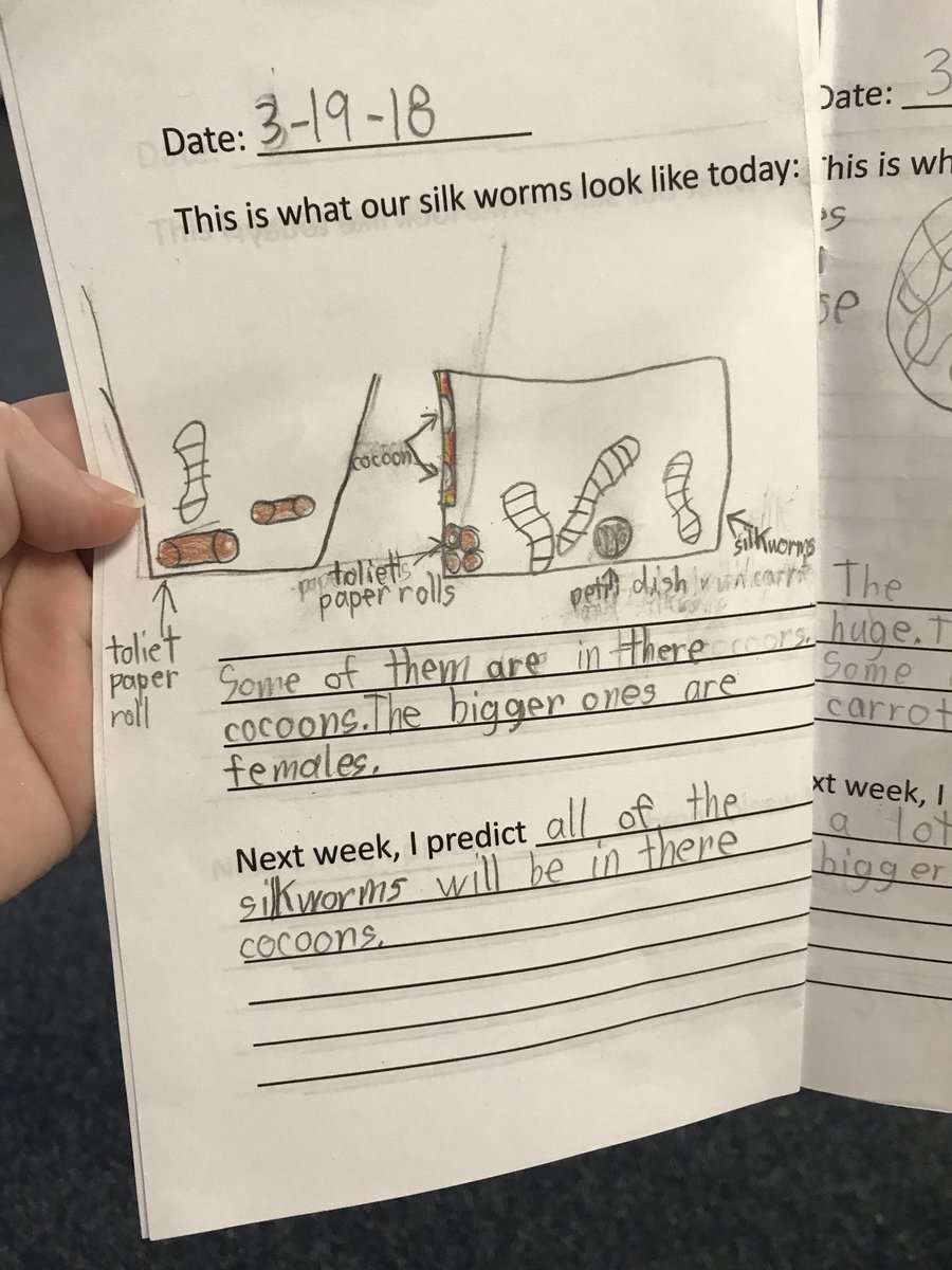 Showing what quality work really looks like. Take a look at those journal entries! So scholarly! #MavericksOnAMission #scholarlywork