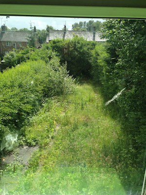 DonmacSolutions's tweet image. landscaping project. Sunken trampoline, child&apos;s play area,, recreational area, BBQ area and canopy #beautiful