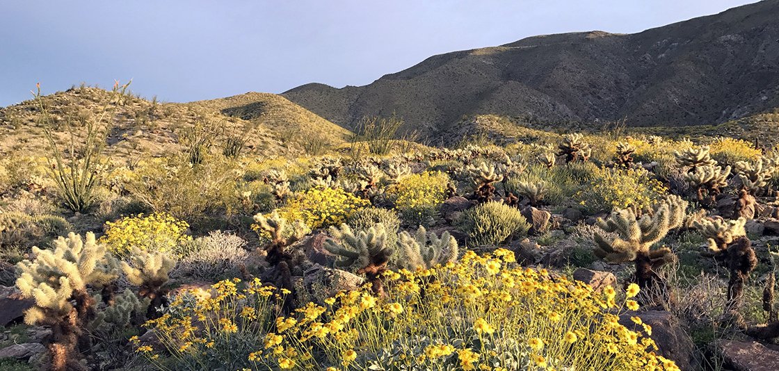 NOAA just issued its 3-month U.S. #Spring Outlook. Here's what we can expect for the new season.  bit.ly/2FOuaA7 #PrepareNow