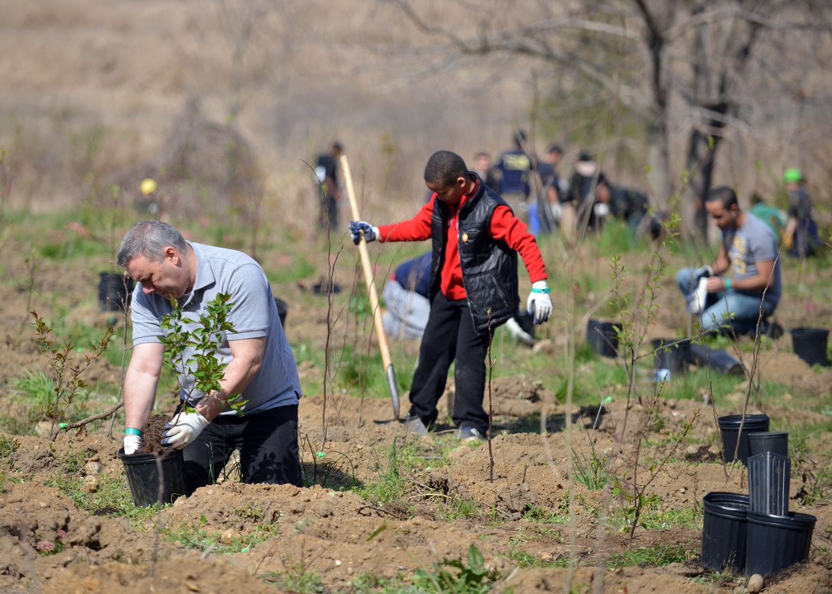 NYC Parks tweet media