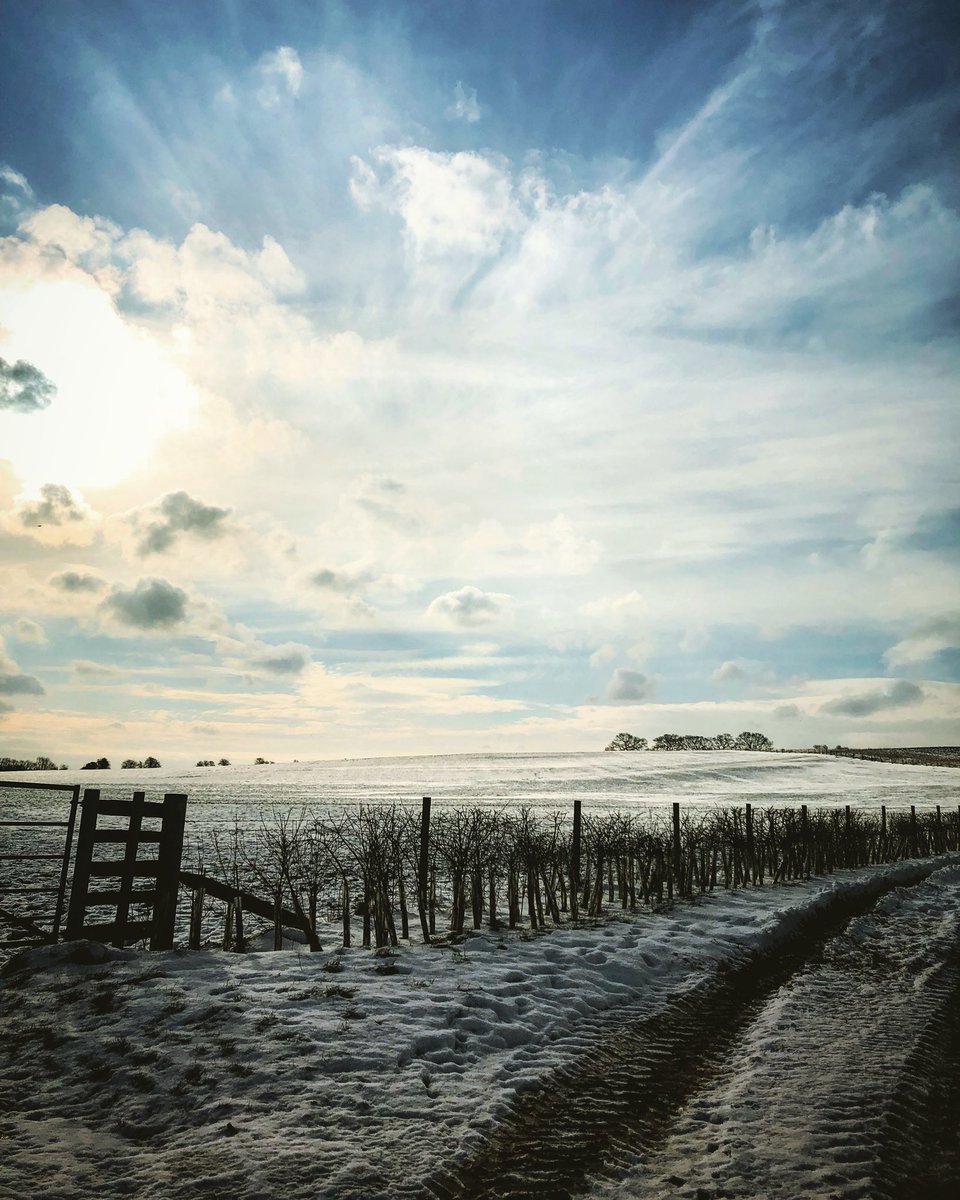 Just getting through my to do list for the day before afternoon dog walk in the cold. We still have some availability for our Sunday Roast pop-up this weekend in Stadhampton. Tasting starters/our own roast pork/rhubarb &amp; ginger trifle £49 per person