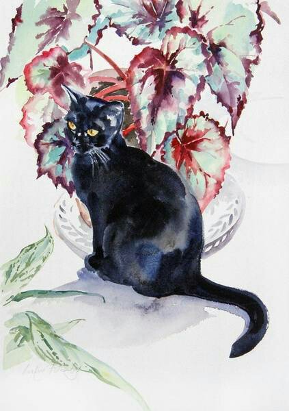 CGdrawing's tweet image. Lesley Fotherby