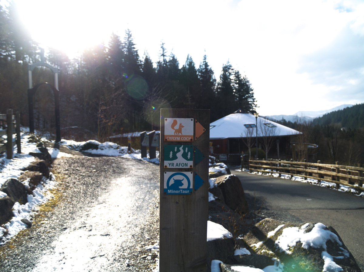 Blue, Green, Red and Black warnings for excellent trails issued at Coed y Brenin today! #springissprung #mtb #wales