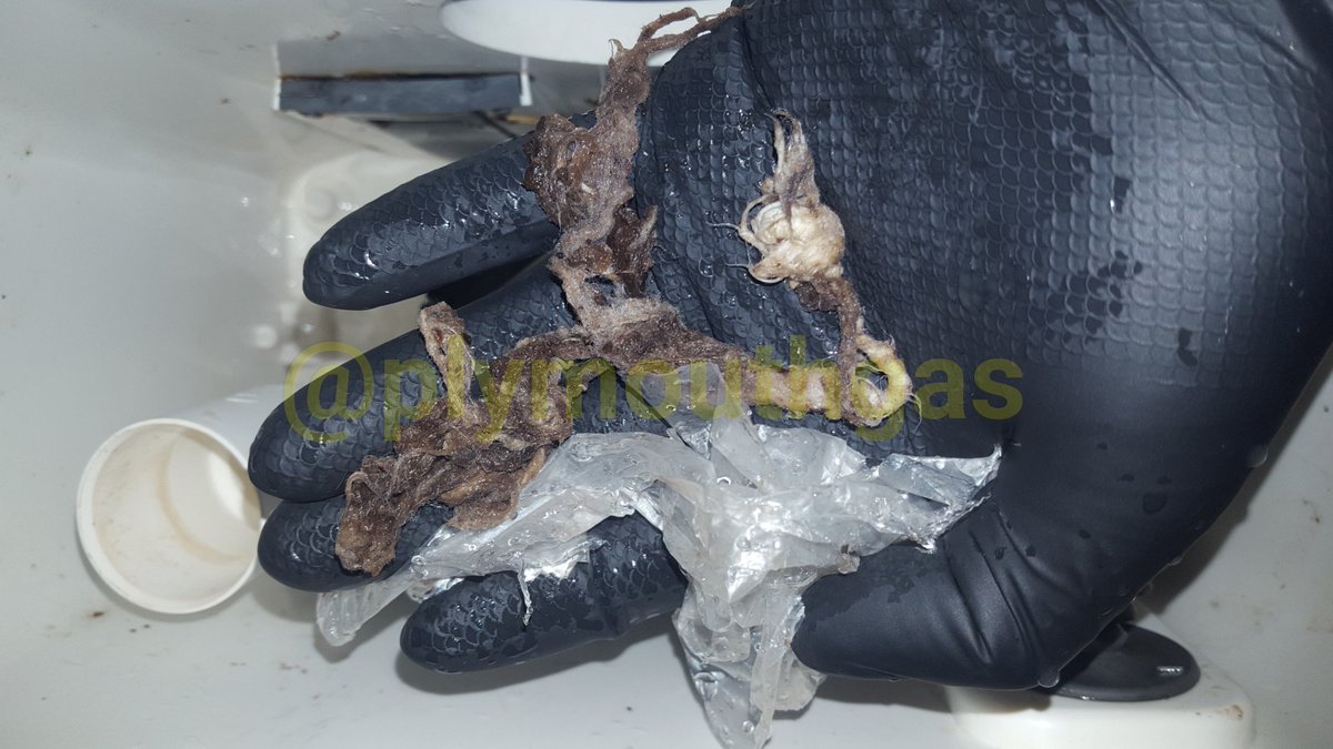 Plymouthgas's tweet image. Who's had their lunch?

You cant beat the feeling you get in your stomach as you unwind a tampax string and plastic bag, from Saniflo blades!

It works like a blender and turns solids into liquids, and only toilet paper and organic matter should be flushed away!
@SanifloSupport