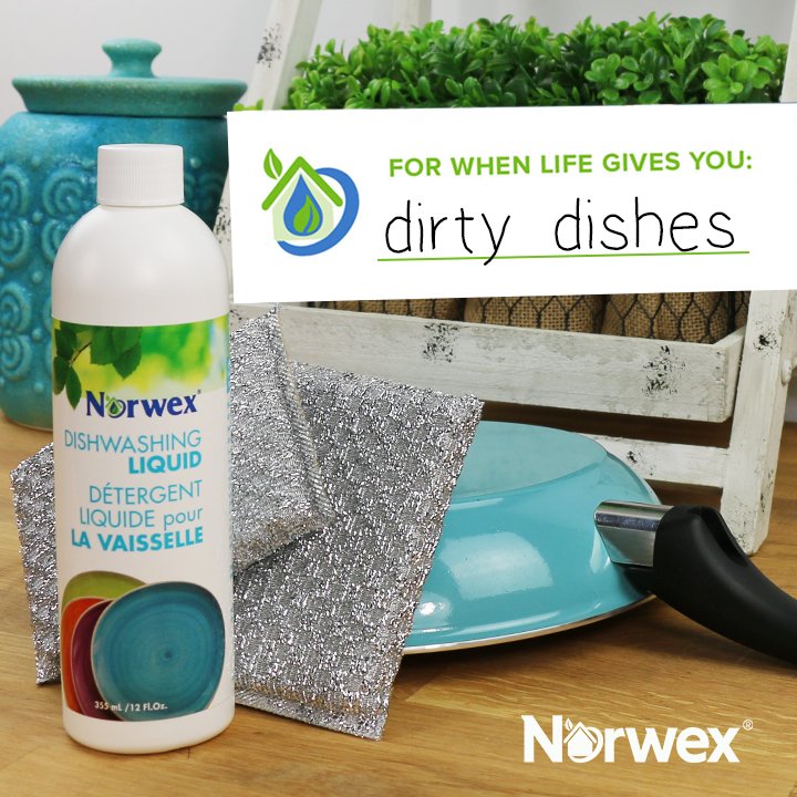 Norwex Dish Washing Package