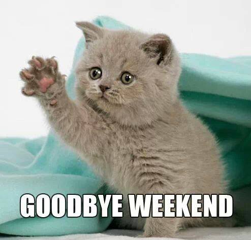 StandardCas's tweet photo. Farewell to the weekend, but lets get Monday done! You got this!
#mondaymotivation #Mondaysarefun #goodbyeweekend #hellonewweek #mondaymadness #insurace #manufacturedhomeinsurance #tinyhomes #kittycat #YouCanDoIt #makemondaythebest #insureyourhome #areyouprotected https://t.co/oOnal5iH7J