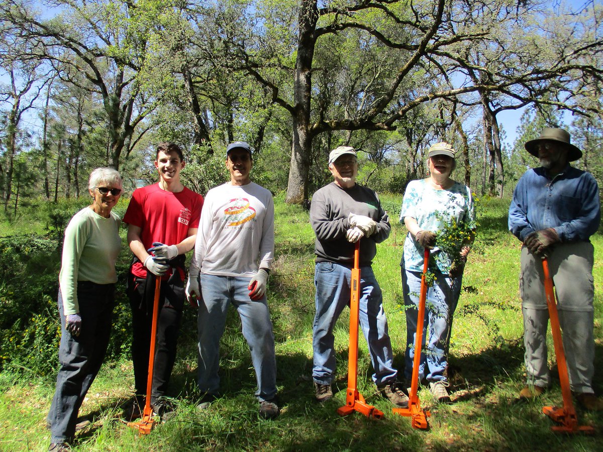 PlacerLandTrust's tweet image. Calling all Volunteers! We are participating with the @cafiresafe Nevada County by hosting an event for the annual Scotch Broom Challenge. Scotch broom is highly flammable &amp;amp; the recent rain has spurred on the growth on our preserve. Sign up today!  bit.ly/2FXBc5m