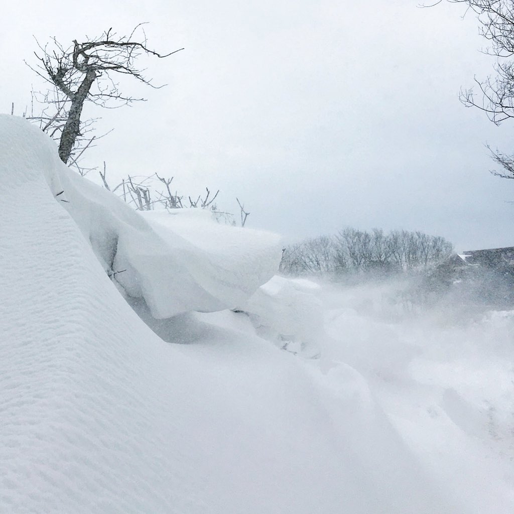 Prudence_Says's tweet photo. Current #devonsnow situation and no school 😱 #minibeastfromtheeast https://t.co/r6mGNnMYkV