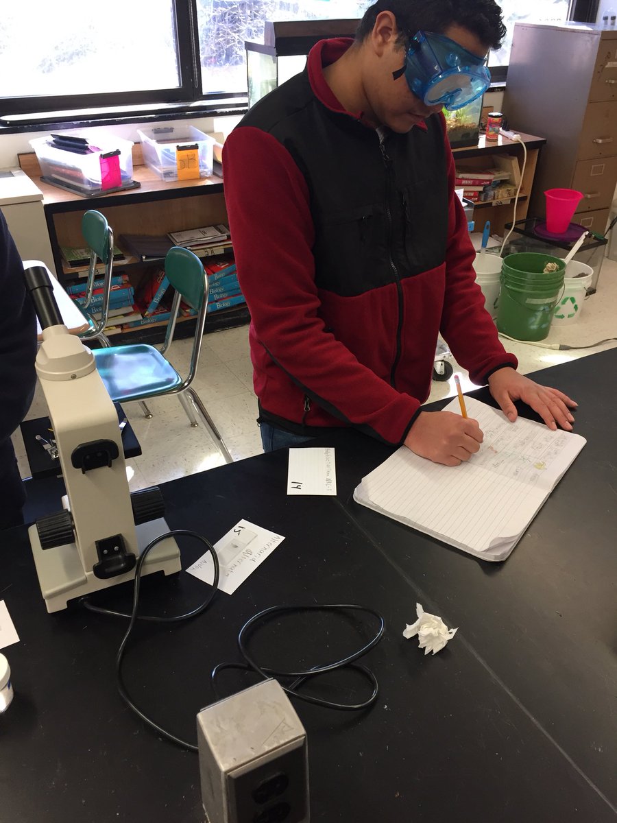 NorthScience's tweet image. Students explored the characteristics of organisms across the kingdoms today in Mr. Silvestri’s Biology classes. @MTPSpride @MrsDOrozco #mtpssci #lionpride