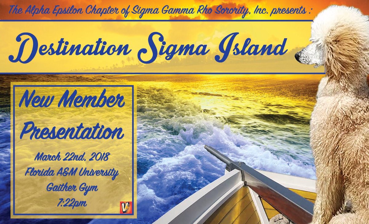 AE_SGRho's tweet photo. The Poodles are Coming 👀 https://t.co/YeUQmY4TD1