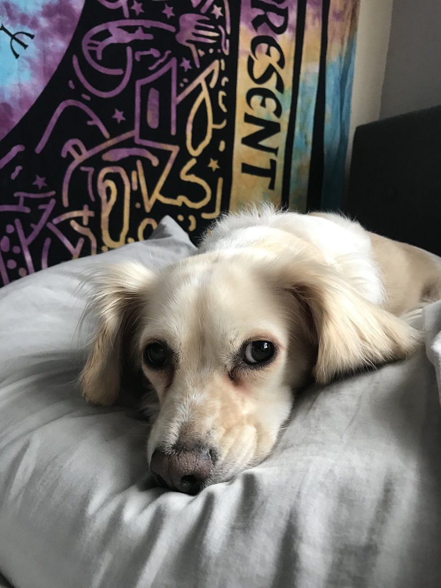 youswright's tweet image. 🌞