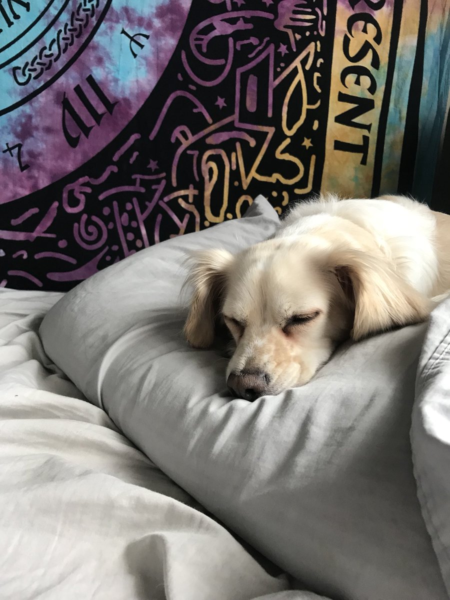 youswright's tweet image. 🌞