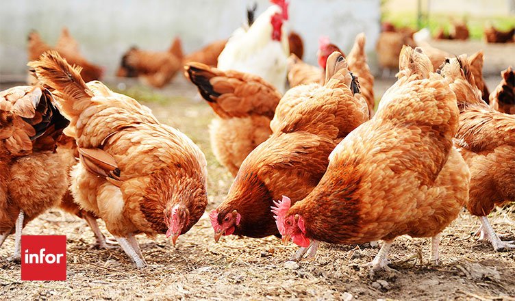 Infor's tweet photo. KFC's recent chicken shortage in the UK was a clear supply chain issue. Greg Kefer discusses some key takeaways for supply chain and CX in @diginomica: https://t.co/wEl3PjU8EP https://t.co/61BzvEmulZ