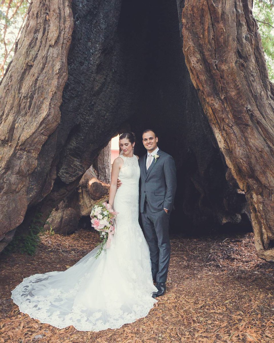 tailorskeep's tweet image. All of the congrats to our newly-wed friends Mayra and Felipe!  You couldn't have looked more stunning on your big day.