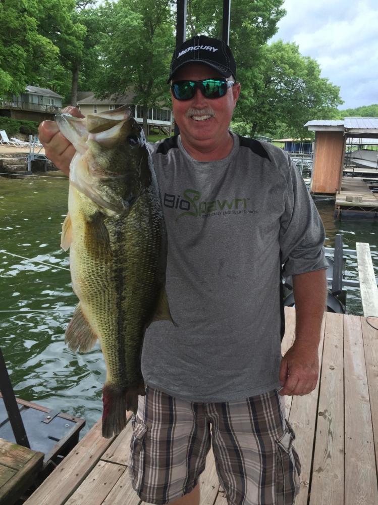 BioSpawnLures's tweet image. 7.2lber caught on the VileCraw by pro staffer Steve Gregg at Lake of the Ozarks.