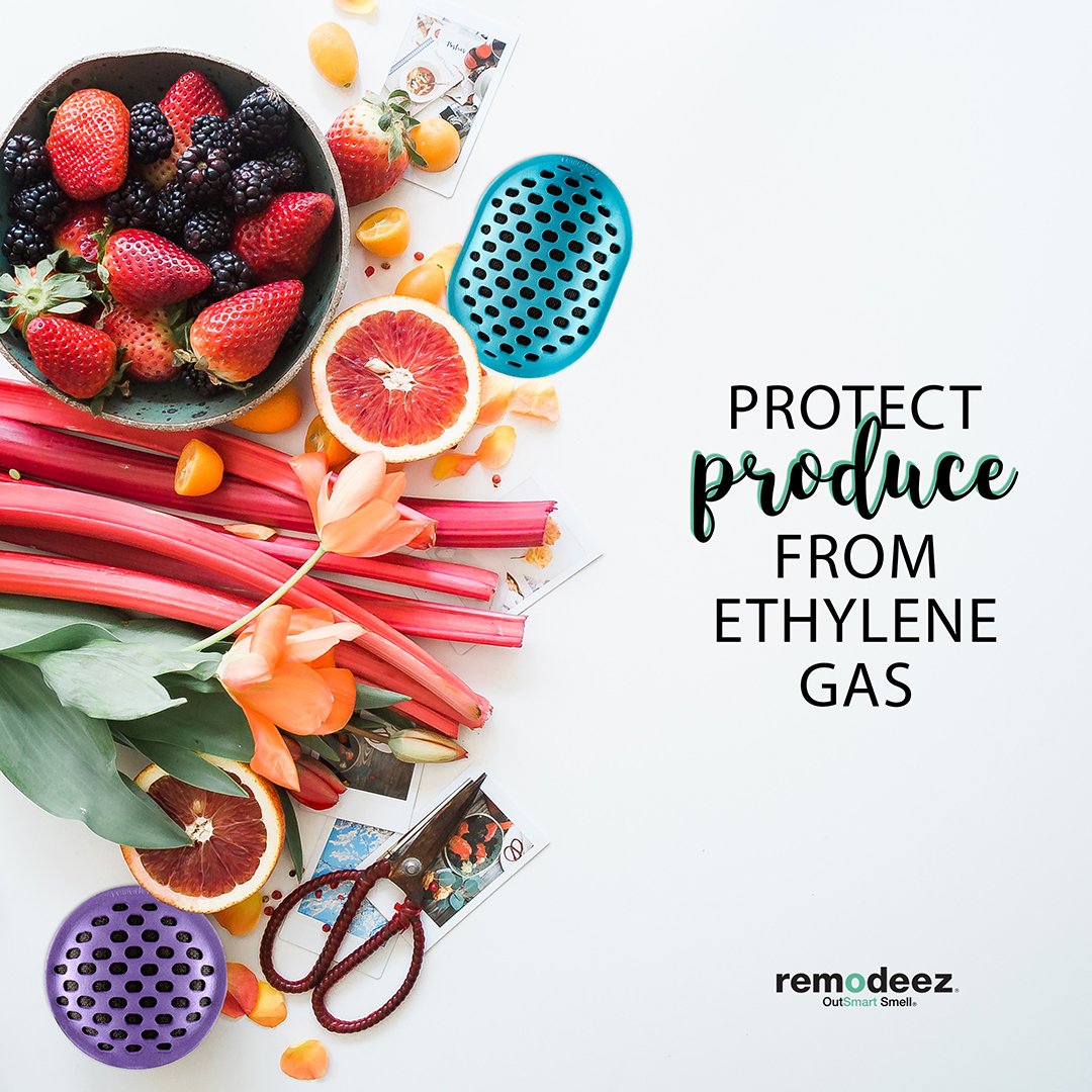 remodeez tweet media