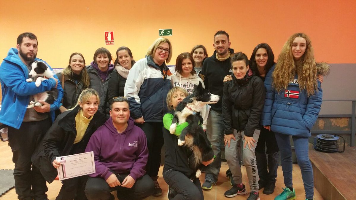 ImpliCAN's tweet photo. Seminario habilidades caninas https://t.co/2m0WqmnHSj