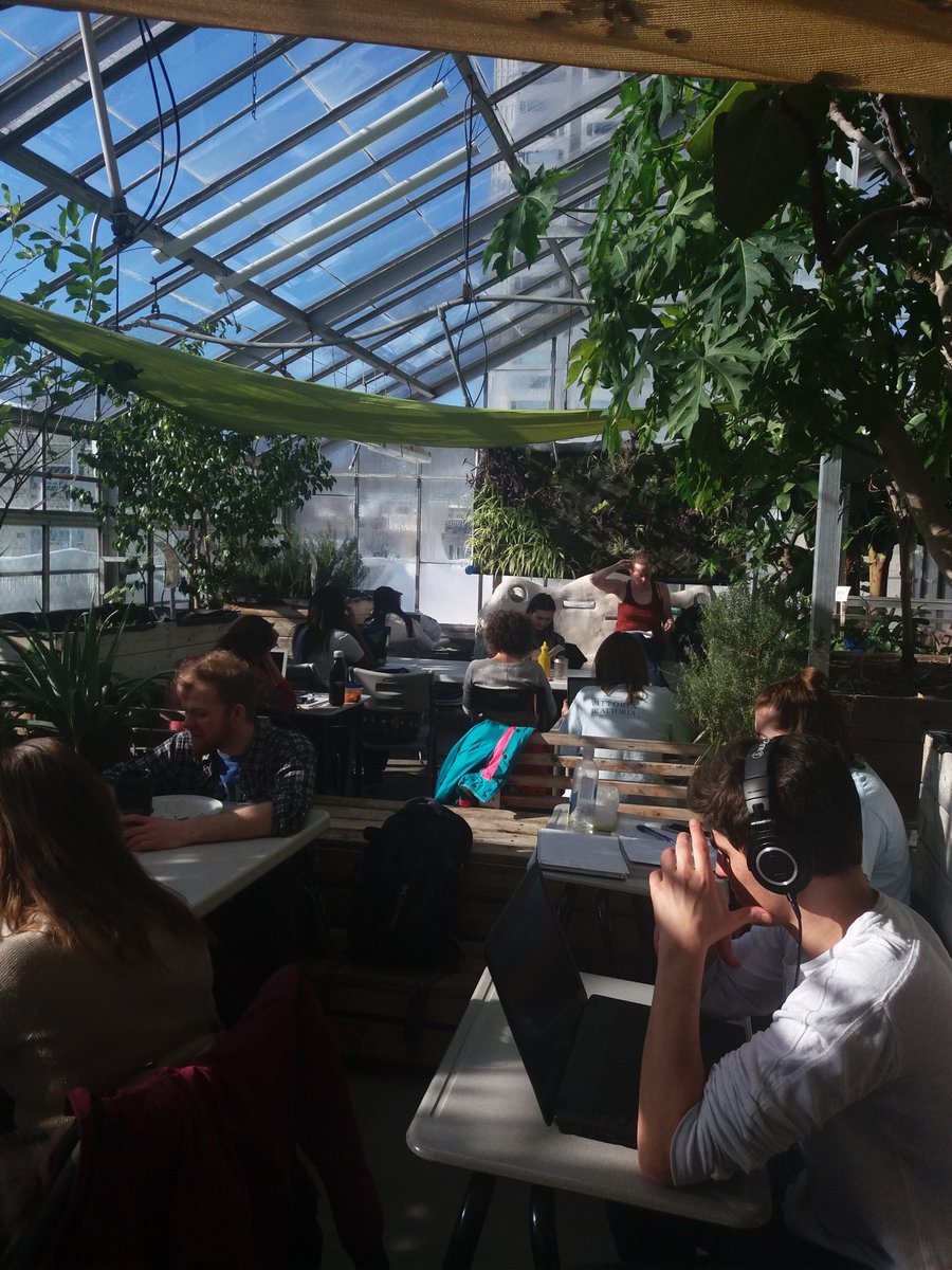 Such a beautiful day for studying at the Greenhouse! 🌱🌿🌿