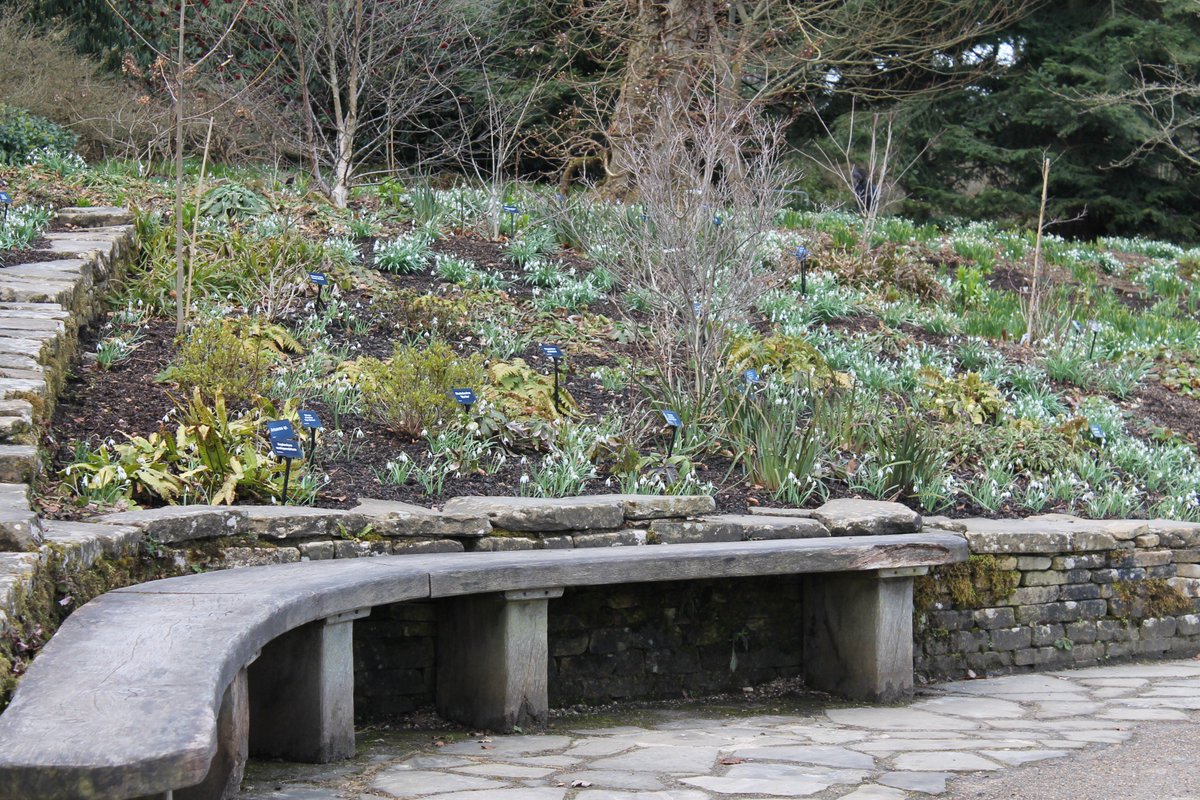 Don't forget to pop by tomorrow (Tues 20) for our Free Day...yes it's free entry to the garden from 9.30am - 5pm. The car parks may get busy so please be patient...or better still bus/walk/cycle to the garden. Thanks.