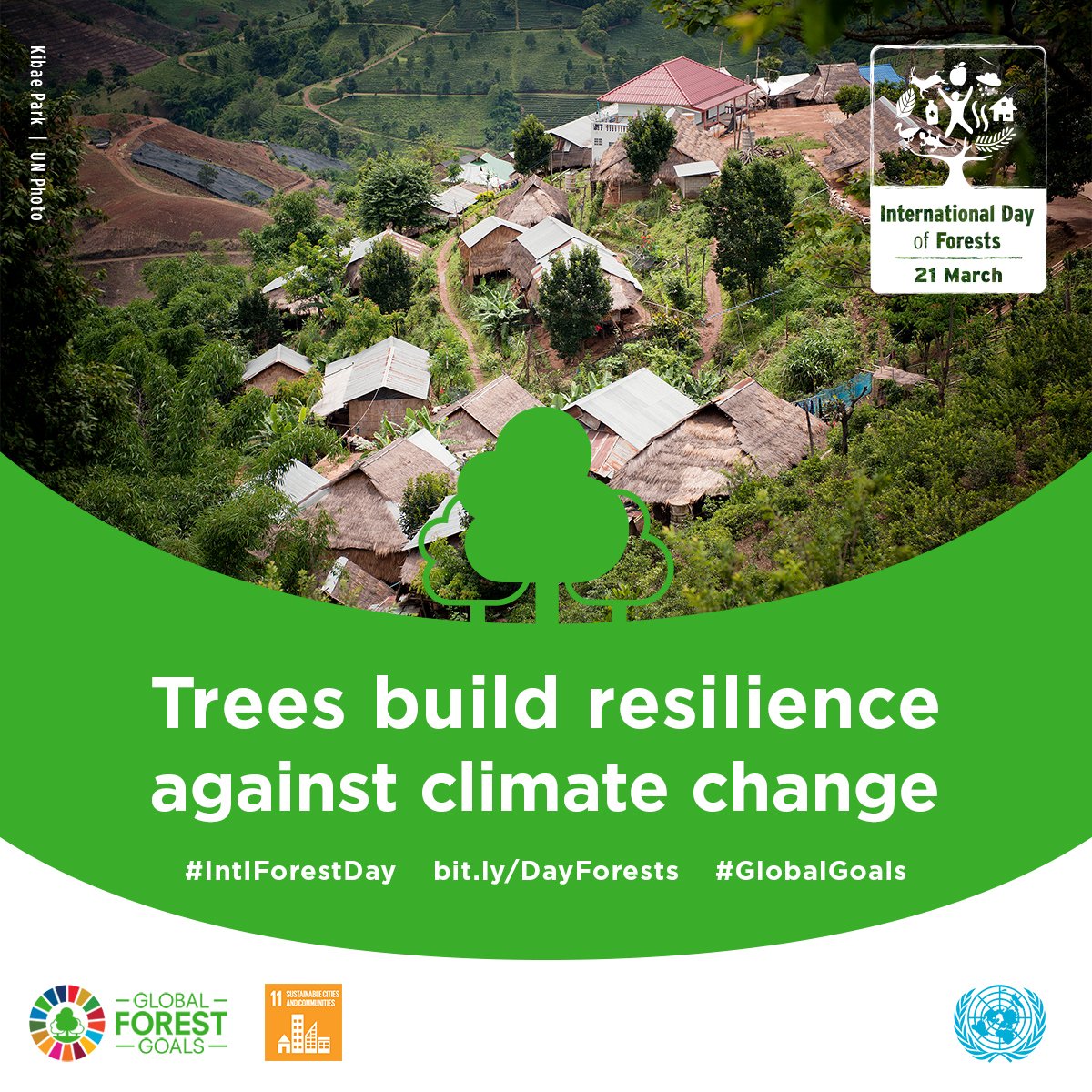 #Forests are the lungs of the earth, taking in carbon and releasing oxygen into the air bit.ly/DayForests Wednesday 21 March is International Day of Forests and a reminder how important forests are to tackle #climatechange #IntlForestDay