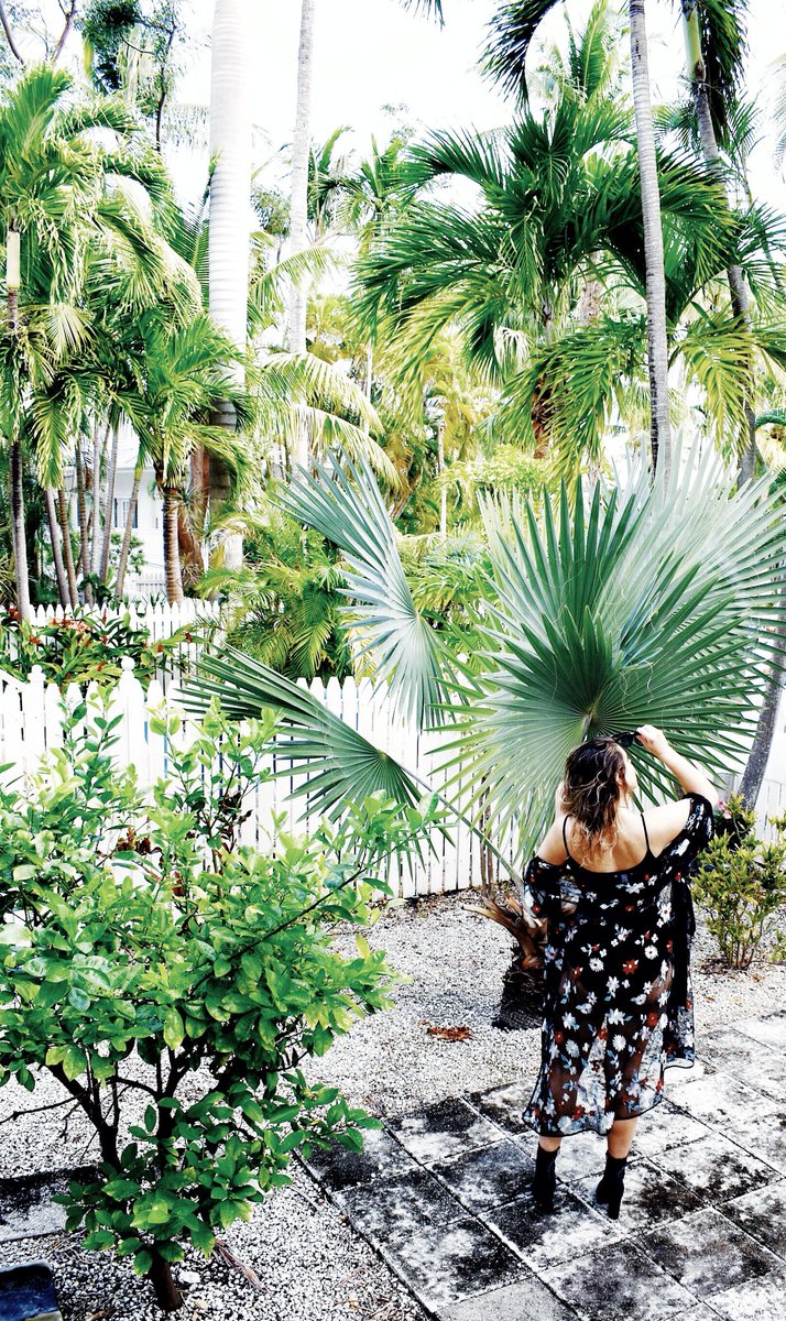 RyaCollection's tweet image. Wishing our Monday looked as good as @thelaceappeal 😍🌴☀️🌺

#RyaCollection #KeyWest