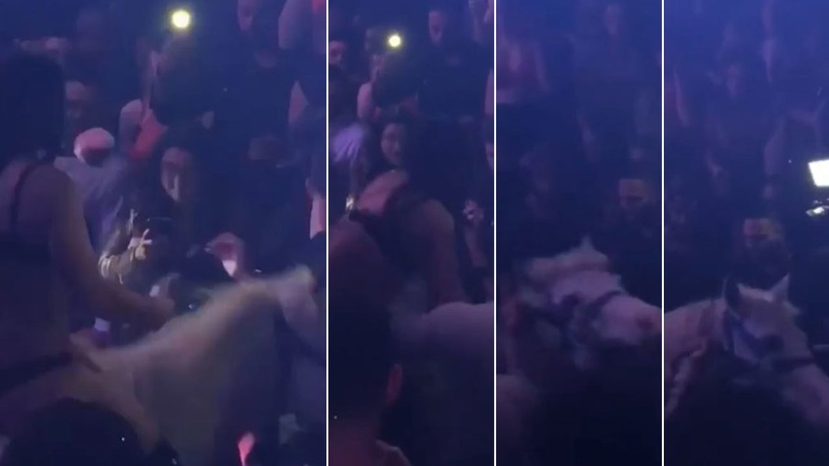 #BREAKING Miami Beach club where horse was brought onto dance floor allowed to reopen bit.ly/2DDZOyp?utm_so… https://t.co/fk24EyVyko