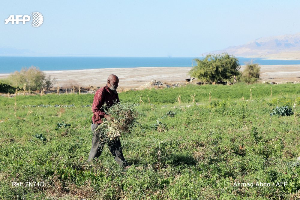 "L'eau ne vient qu'une fois par semaine, pour seulement une ou deux heures" : dans le nord de la Jordanie, l'eau est devenue encore plus rare et chère avec l'afflux des réfugiés syriens u.afp.com/oS3w par <a href="/MarieWolfrom/">Marie Wolfrom</a> #AFP