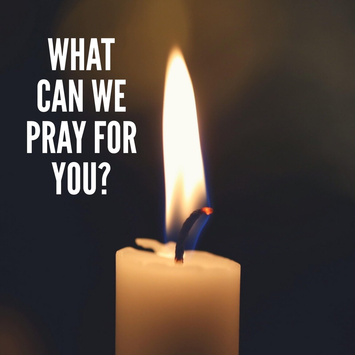 Disciples Seminary Foundation tweet media