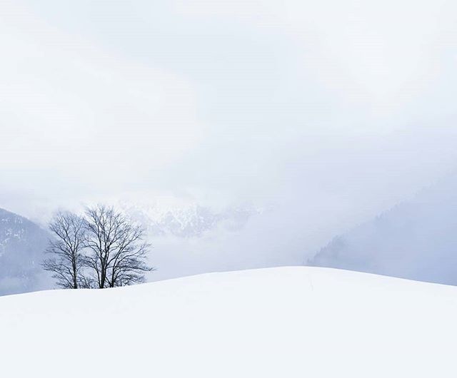 Foto di @fili_maragno 👏 Minimal (e infinito) inverno ❄
#igersbelluno #igersveneto #igersitalia ift.tt/2DDENnq