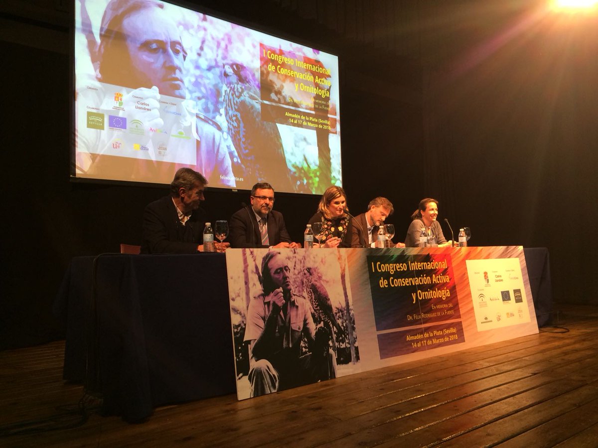 FelixCuenta's tweet photo. .@DIPUSEVI remarca el mensaje de @navedelmisterio para el I Congreso Internacional de Conservación Activa y Ornitología 🌱

" ... Félix le hablaba a los niños, porque pensaba que los niños podrían cambiar el mundo"

#FelixCuenta ❤️

https://t.co/iKGvP60IxU https://t.co/9SDfG1xxmT