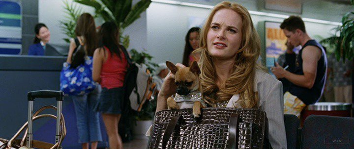 Rachel Blanchard is now 42 years old, happy birthday! Do you know this movie? 5 min to answer! 