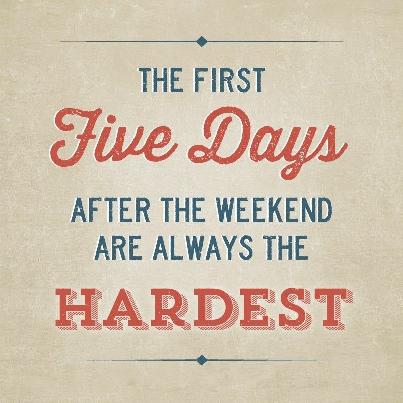 MaccFact's tweet image. Agreed!