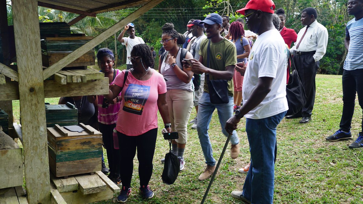 Kokrobitey Institute tweet media