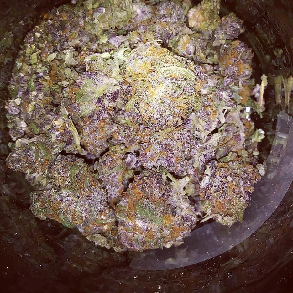 ArmyOfPotheads's tweet photo. @LARRYIRBY6 @_dopedaneille @PerryLAnglin1 @ThurmanQuery @migoodridge1 @tripprrr @afterdarkmusic @hippieluvbud62 @and1_grant @Godzmazter @SunshineTheGrey @Sloe1427 @Jimi_Jammin @EmeraldZoo @Cogitatorium @Michael57645022 @neverquit40 @BH28899118 @Davidjonesmahon @duckinmagoo @Amznfrknaz @CrossFollower12 @DanBraun19 @ReeferMcGee @crazybatmanfan @Hippie_of_Love @cannaworldsite @3PeopleLikeThis @MandiAfterDarkC @thcmed @TheLoudBank @DCNYATL @Dragonzwing14 @KeeslingT @Calrtipper @Norstackk @AlexCassista @weed675 @kiyomihutson @Kooky_420 @laurajax1 @SpotItHigh @GideonsGarden @kidz_net @Bklynbby @blakeb6969 @TCQuery8 @drjennmann @APAPsychiatric Well, we missed that 4:20 roll call @LARRYIRBY6 ...but it's 2:10 now so...better light em if ya got em!
#PotMasterGeneral THC IRBY - Thank you, Sir! https://t.co/mFQGumq7p4
