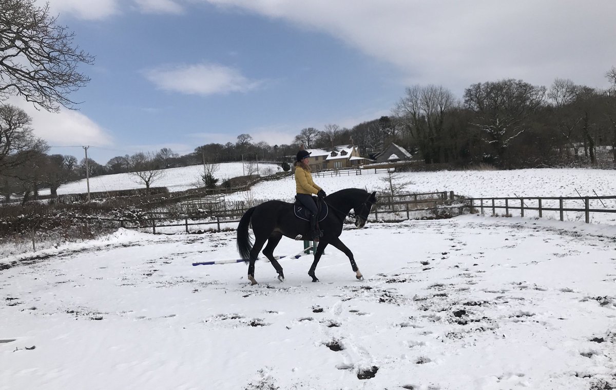 Snow didn’t stop play today 🐝 #VennieBurgaZ