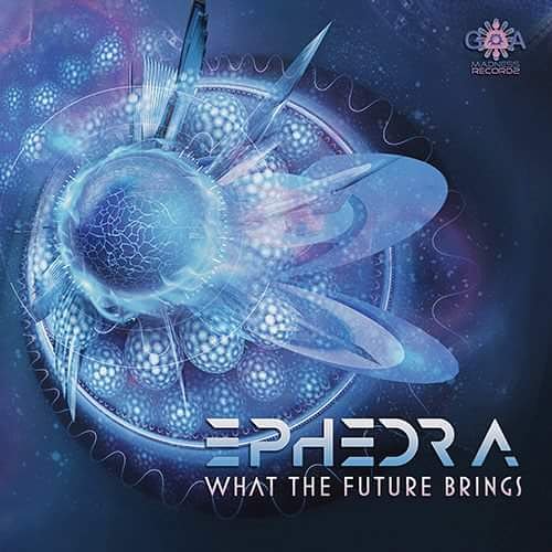 Goa madness records tweet media