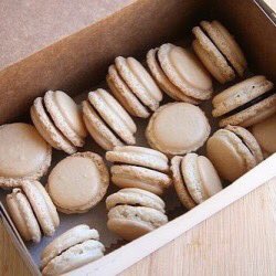 aiepxthy's tweet image. ραιѕℓєу тнє נα¢кαℓ

         «gσℓ∂єи נα¢кαℓ»

         «fємαℓє»

         «ѕнιρѕ ωιтн ¢нєм»
 
         «fяιєи∂ℓу αи∂ ѕℓєєρу»

         «нєявαℓιѕт»

         «#SonicRP #WizardBear»

         «яєтωєєт?»