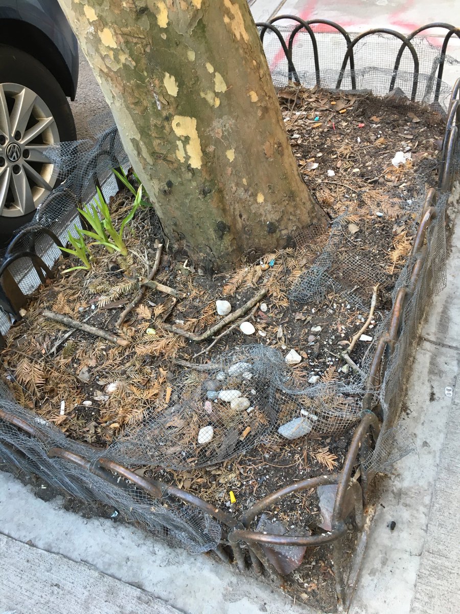 you can always add more chicken wire.