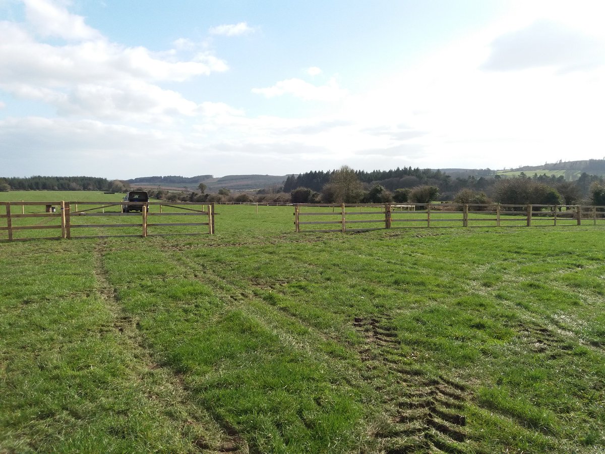 Work has begun on the track ahead of the races next Wednesday. Dont forget entries close tomorrow at 12 noon. <a href="/irishp2p/">p2p.ie</a>