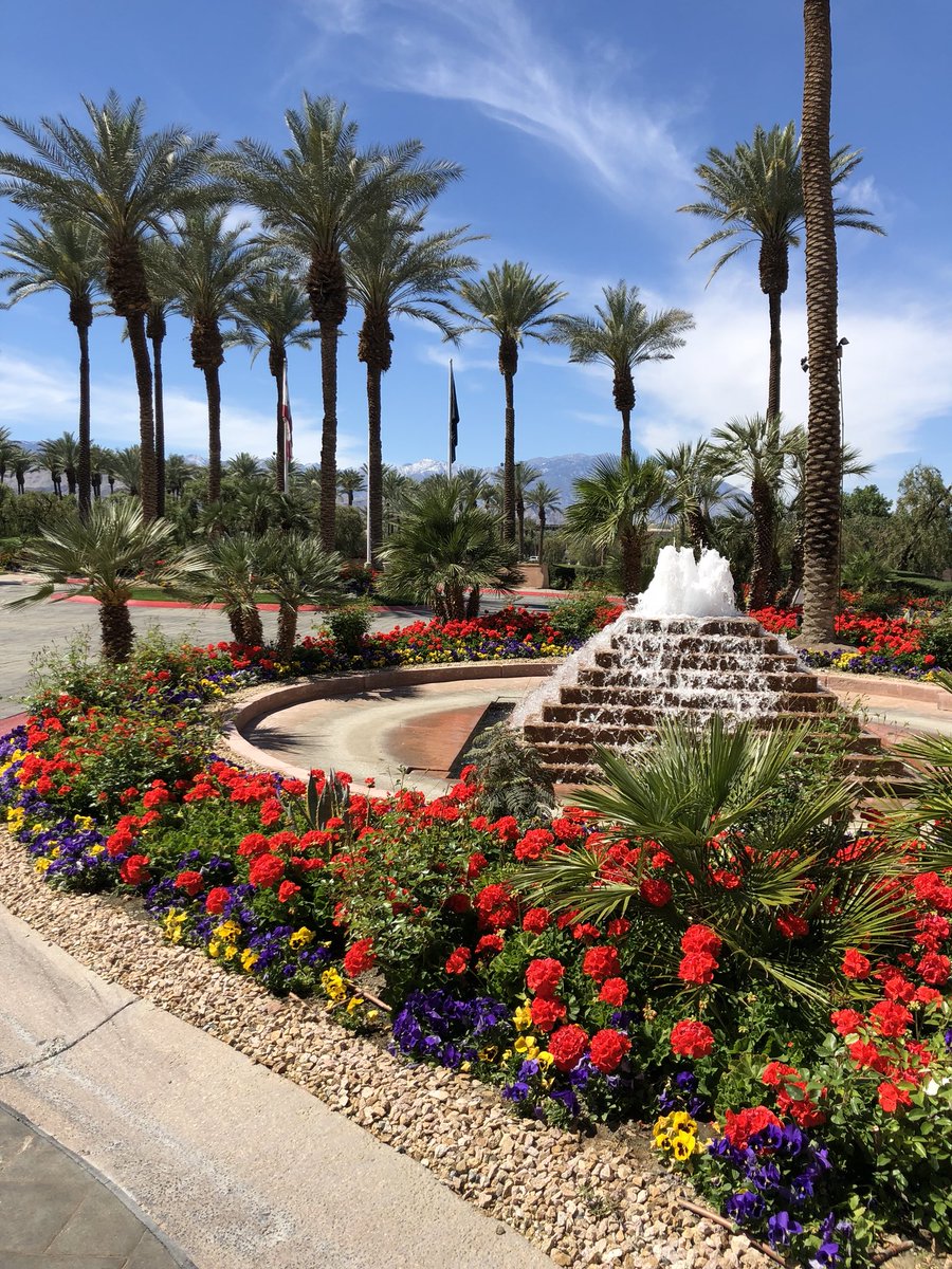 Happy to report a sunny 80 degrees today in #IndianWells Should be beautiful for #pcrs2018. <a href="/GrifJones/">Griffin Jones</a>