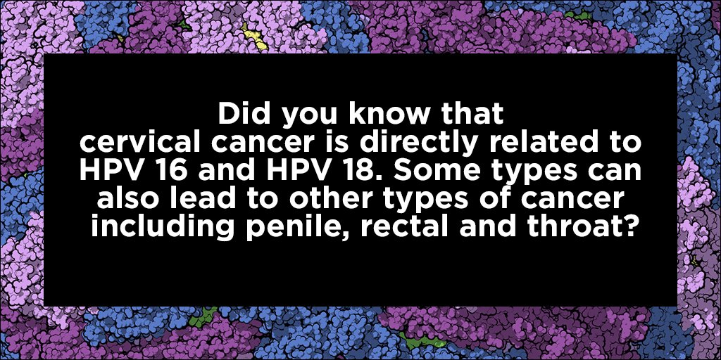 smoothroosters's tweet photo. Find out more  #information about #HPV and the other 🔟 most #common #STDS on our #blog ❤️  #SexHealth #SexInfo #Sex
https://t.co/kAmFTMNetL https://t.co/6kN7Kq16TJ
