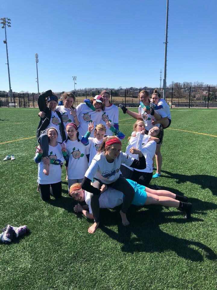 Nonads Ultimate tweet media