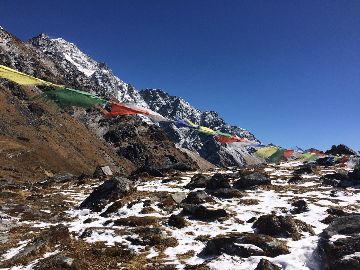 PathToHimalayas's tweet photo. #prayerflags at #MardiHimal #BaseCamp #Nepal #Himalayas #Mountains #Snow #Asia #travel #Trekking #Hiking #adventure #explore #wanderlust #bucketlist #photography https://t.co/HP6OqG70JS