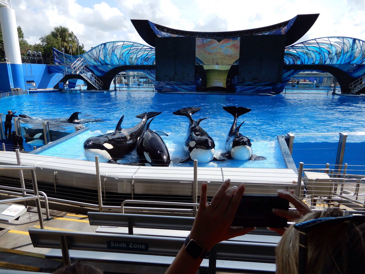 SeaWorldHarry tweet picture