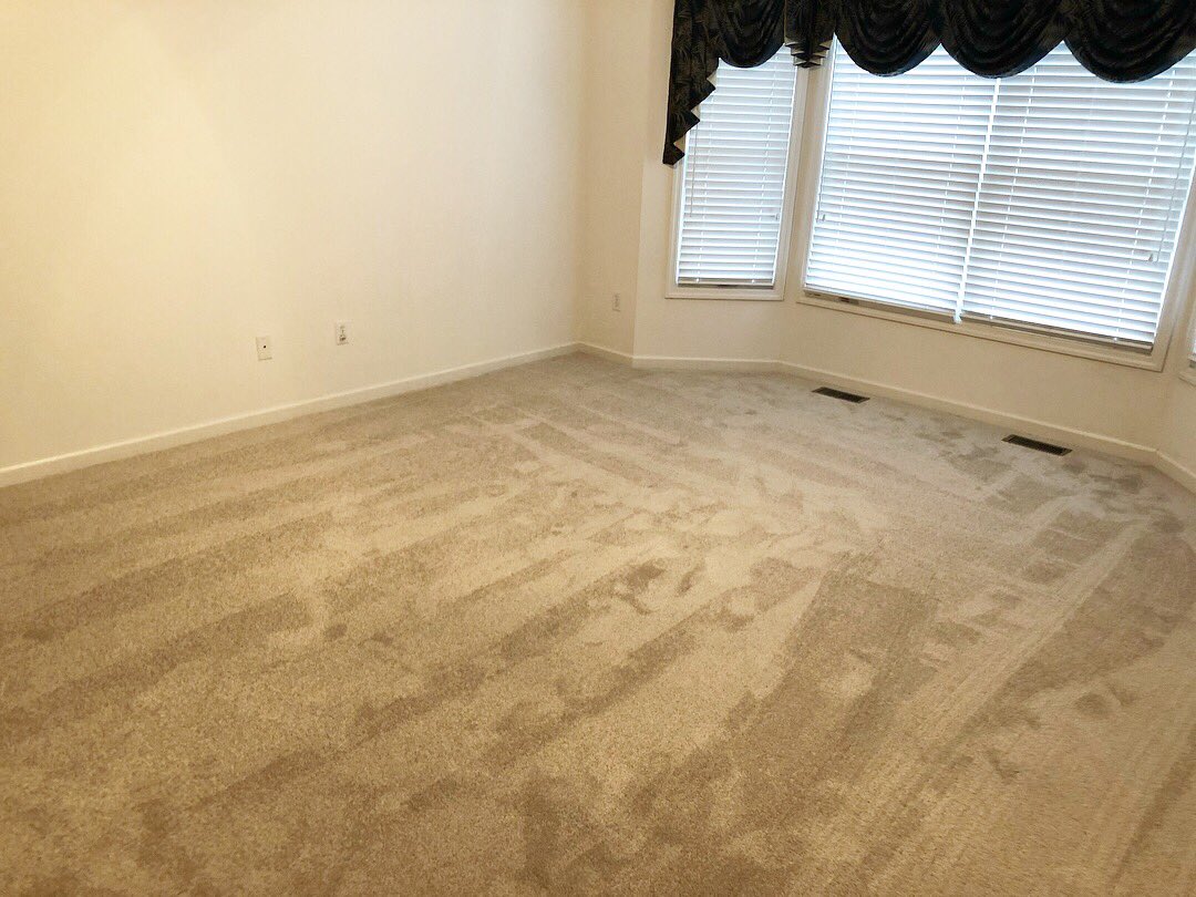 Amanda Henry tweet media